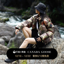 CANADA Goose Canada Goose Botanical Series Cypress Black Label down jacket 2256WBP