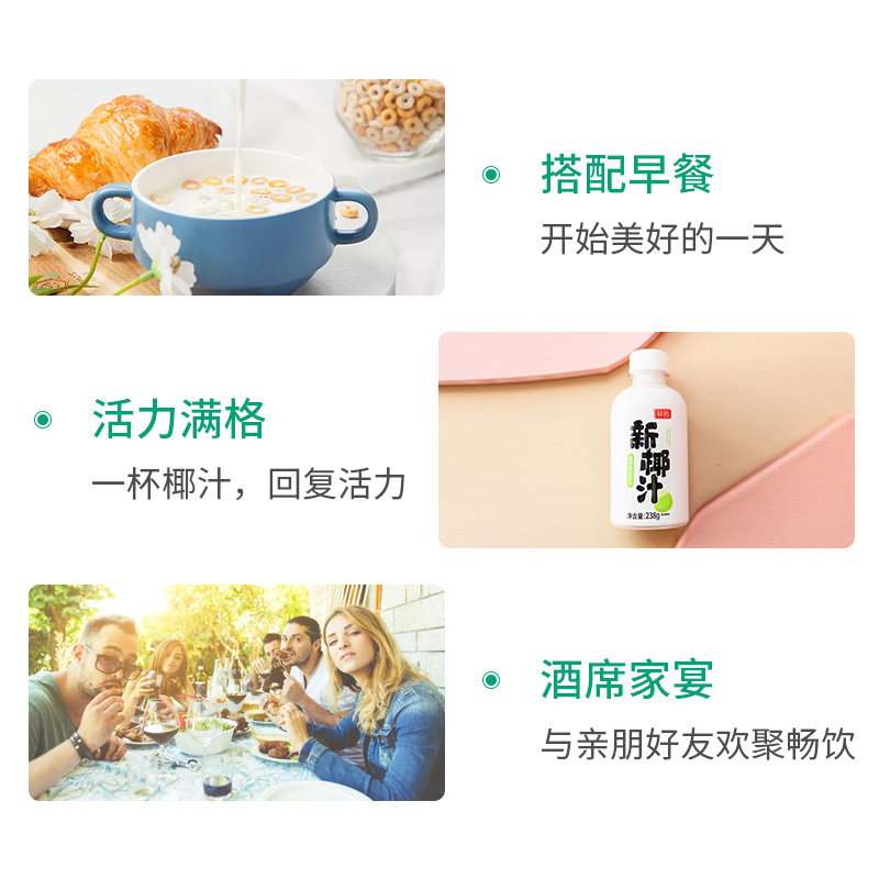  菲诺纯果味/风味饮料