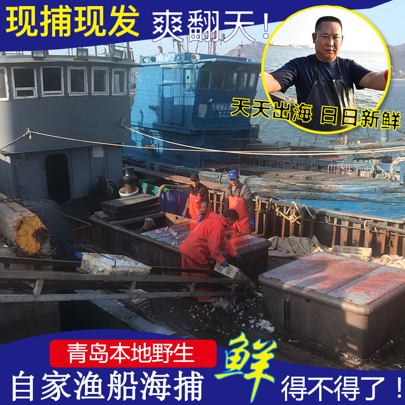 青岛海鲜水产海捕多宝鱼海鲜鲜活包邮冷冻比目鱼鲽鱼鸦片鱼非干苗