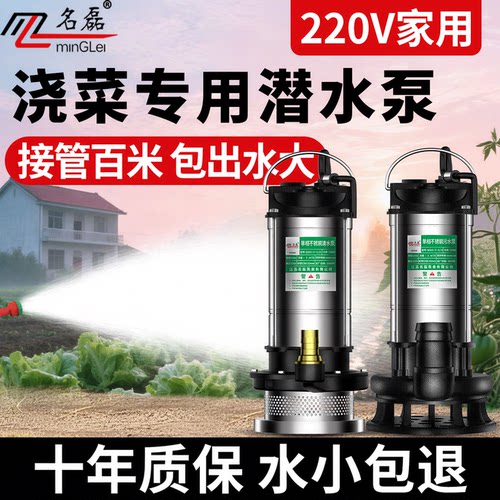 潜水泵220v高扬程大流量高压水泵抽水家用浇菜小型抽水泵农用灌溉 - 图2