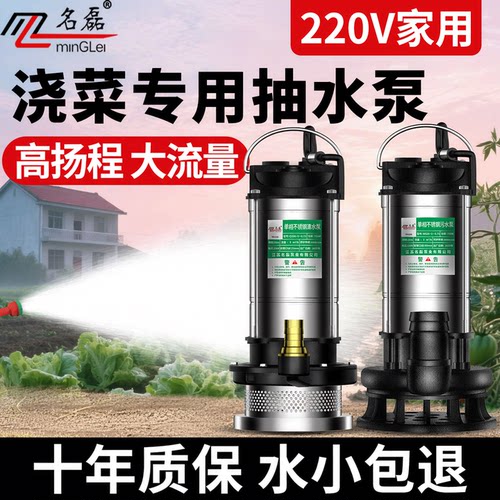 潜水泵220v高扬程大流量高压水泵抽水家用浇菜小型抽水泵农用灌溉 - 图0