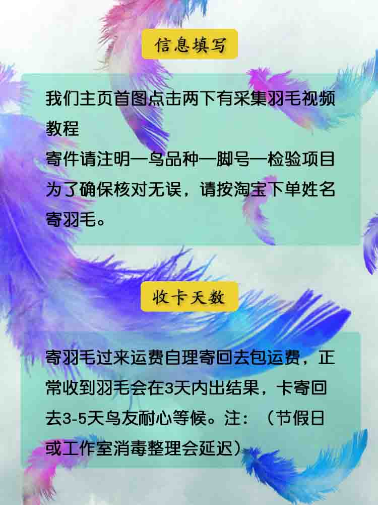 金鹏鹦鹉性别DNA验卡性别双病毒鉴定(玄凤 牡丹 虎皮)小中大型鸟 - 图2