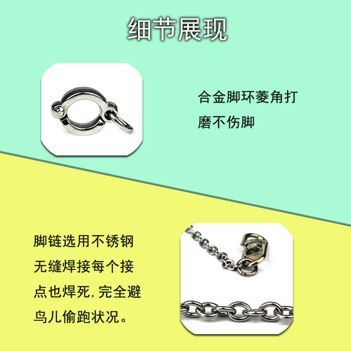 不锈钢鹦鹉脚链虎皮牡丹玄凤小太阳和尚八哥开口脚环用品用具拴鸟 - 图2