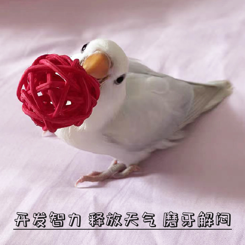 鹦鹉藤球啃咬玩具玄凤虎皮牡丹鸟觅食训练陪伴磨牙互动益智力用品-图1