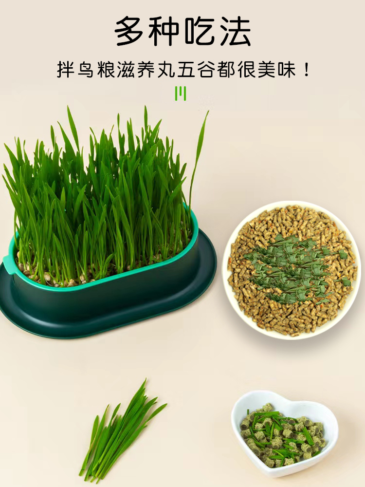 鹦鹉专用鸟草饲料发芽鸟草盒混合粮种子粮发芽粮玄风牡丹虎皮鸟粮 - 图1