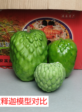 大号释迦模型仿真水果凤梨番荔枝