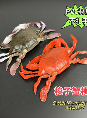 仿真大闸蟹模型梭子蟹海鲜螃蟹玩具摆件拍摄道具大号儿童认知礼物
