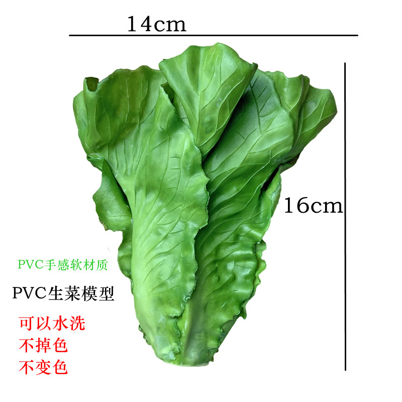 仿真水果蔬菜生菜模型家居厨柜家居摄影道具绿色生菜叶子摆件包邮,淘宝优惠券,粉丝福利购,淘宝优惠卷