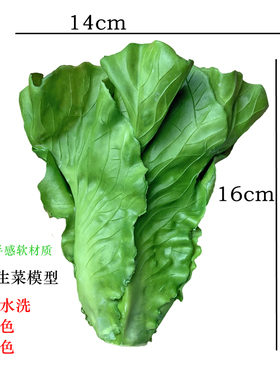 仿真生菜模型绿色生菜叶子装饰