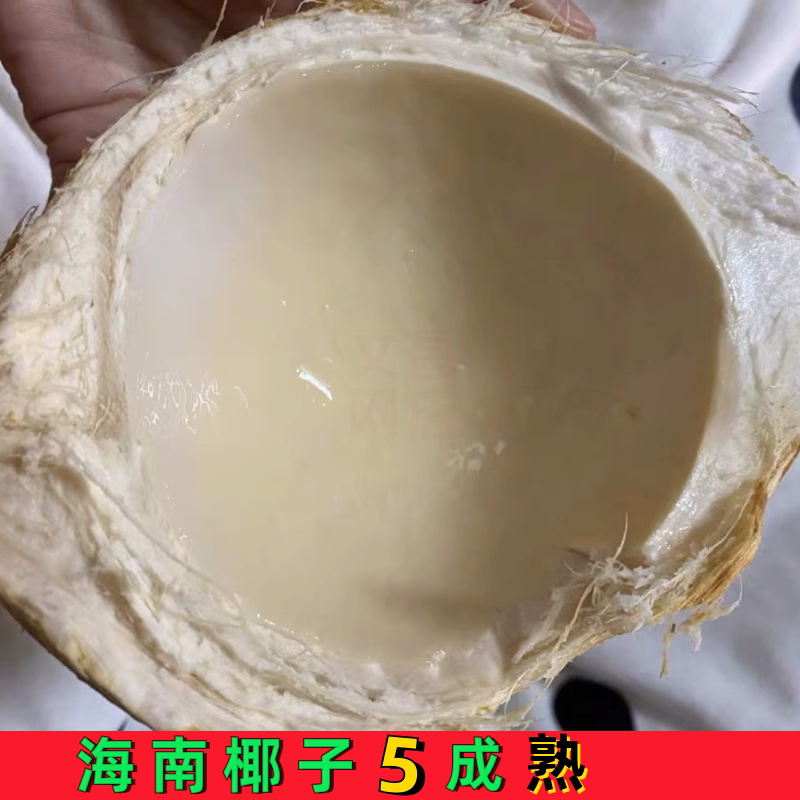 新鲜椰青海南正宗椰子牛奶椰皇煲老黑鸡汤孕妇水果汁水多整箱9个