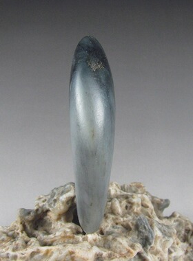 原石天然黑白分明毛料独籽把件