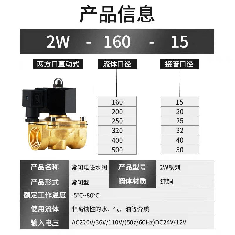 室外防水全铜电磁控制电阀开关水阀气阀220v24v12v4分6分1寸半2寸 - 图0