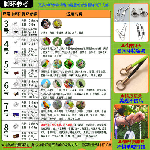 鹦鹉放飞绳超轻便携鸟用外出牵引绳虎皮玄凤牡丹软脚环脖套遛鸟绳 - 图3