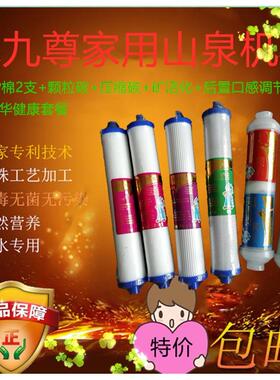 天天一泉水九尊家用山泉机净水器套餐矿活化专用滤芯包教更换