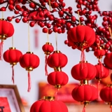 Весенний фестиваль Дракон маленький красный фонарь деревьев на деревьях на открытом воздухе новогодний макет Новый год.