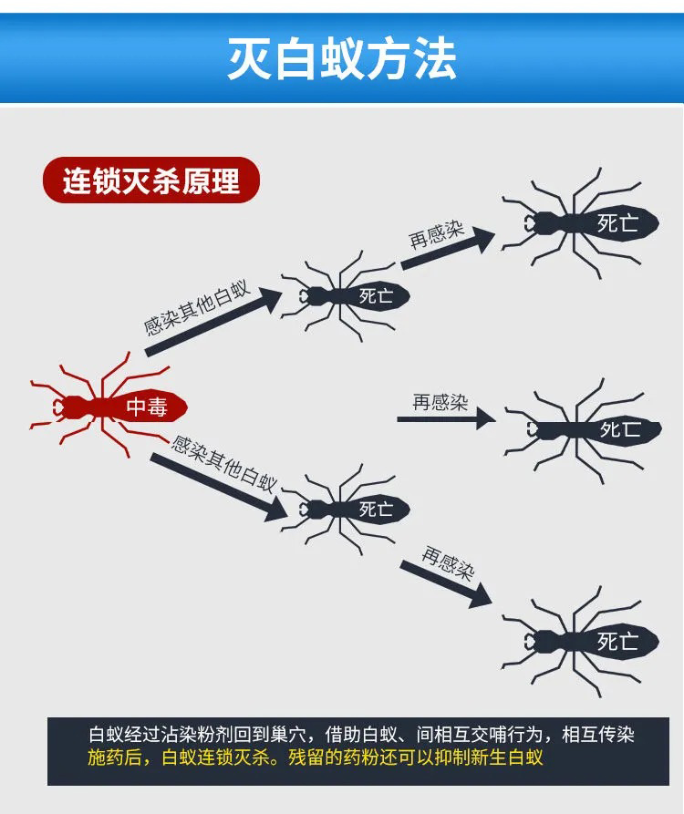 灭杀白蚁防治专用药克星杀虫粉剂家用非无毒飞蚁白蚂蚁传染全窝端 - 图0