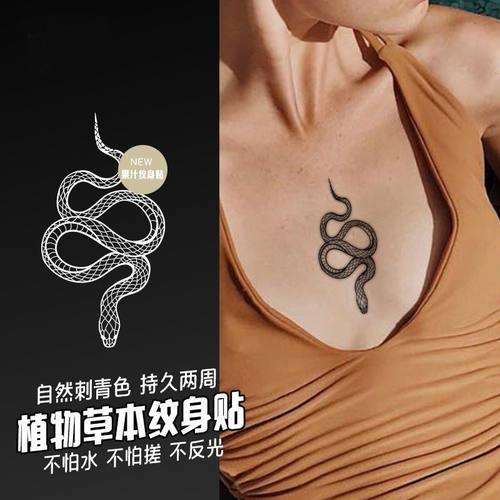 网红同款手臂蛇缠花纹身贴果汁草本蝴蝶蛇手指锁骨纹身防水持久潮 - 图2