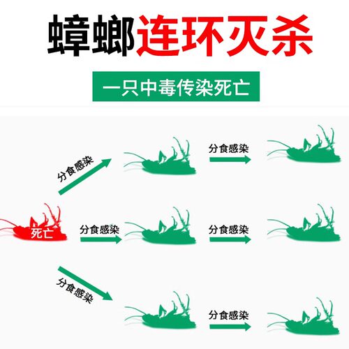 蟑螂药非无毒家用全窝一锅正品端灭杀除蟑螂神器餐厅专用饭店饵剂 - 图2