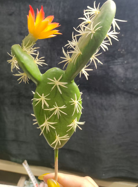 满20包邮，树脂仙人掌假花，样品瑕疵介意勿拍