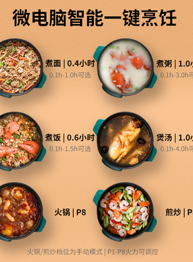 电饭锅蒸煮迷你智能煲汤两用