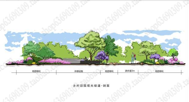 道路断面剖面图立面图PSD分层素材景观道路横断面图设计素材PSD-图2