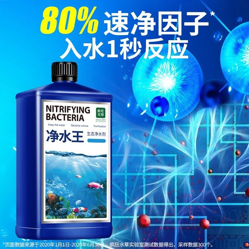 清洁液锦鲤鱼池硝化细菌水族鱼药鱼缸用养鱼净水剂水质稳定剂消化-图2