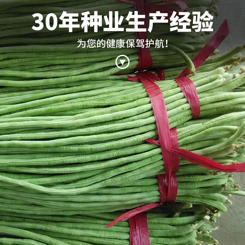 特长901豇豆种子需搭架豆角种籽高产老品种豆角种孑豆荚蔬菜种子,淘宝优惠券,粉丝福利购,淘宝优惠卷