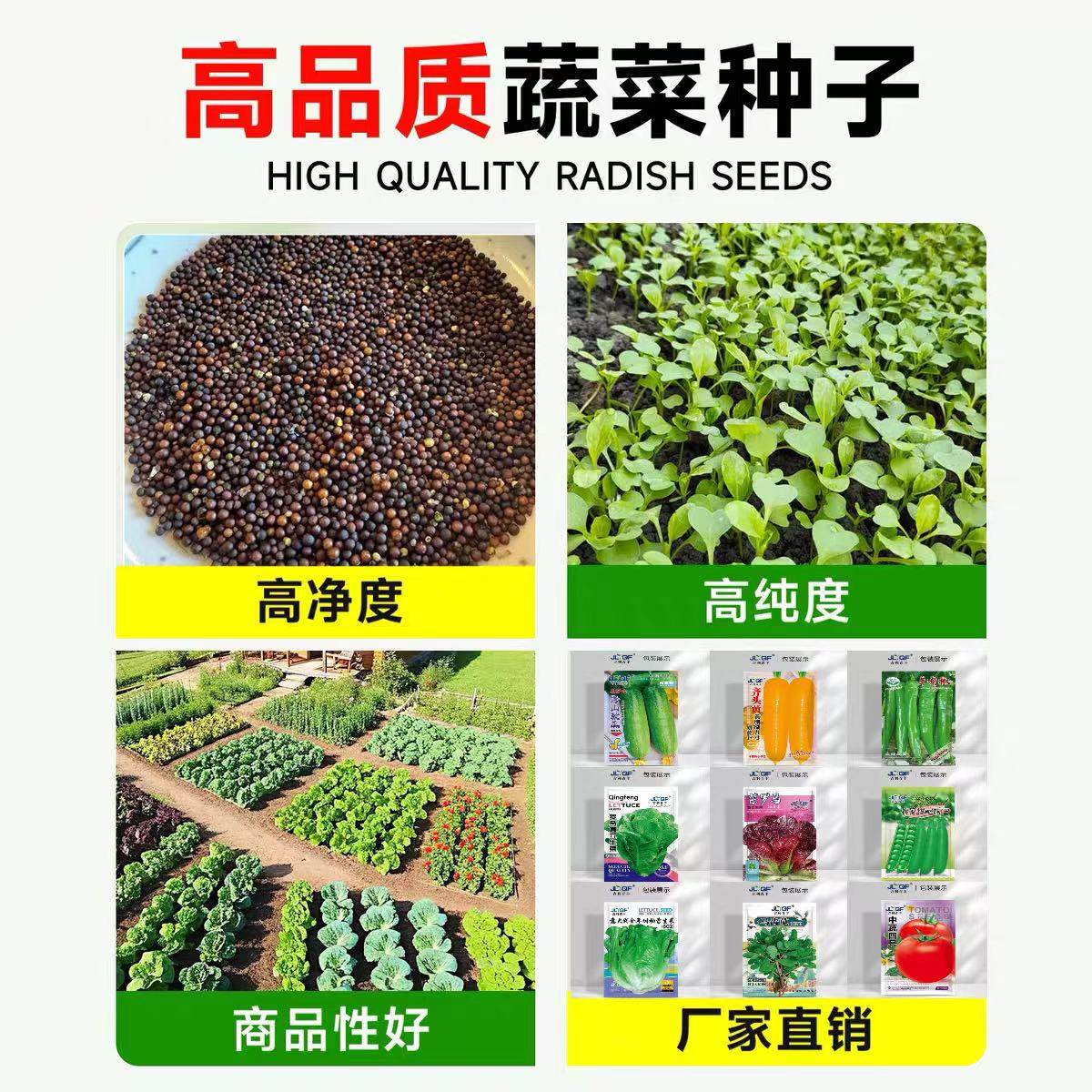 蔬菜种子大全四季青菜种植种籽萝卜籽白菜茼蒿线椒王马齿苋生菜籽,淘宝优惠券,粉丝福利购,淘宝优惠卷