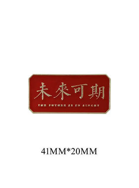 高考励志礼物志祝福加油文字胸针青春不老逢考必过同学毕业礼物