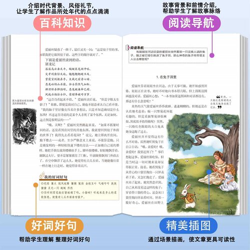 爱丽丝漫游奇境记正版书 爱丽丝梦游仙境书六年级下册必读书目 小学生课外书推荐奇镜彩绘原版原著阅读书籍五年级天地出版社 - 图1