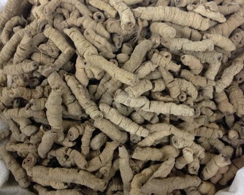巴戟天粉500克包邮中药材巴戟肉男性食用粉男滋补另有锁阳炖汤 - 图0