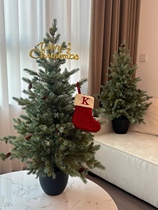 With basin with pine nuts 90cm High emulation gradient colour pe Norbeson Christmas Tree