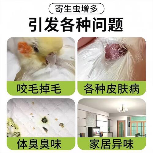 鸟类虫蜱清鹦鹉驱虫喷雾虱子羽螨鸟用体外喷雾去异味宠物驱虫喷剂 - 图1