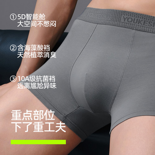 有棵树纯棉男士内裤2026新款男生平角裤青少年男式四角裤男款短裤-图0