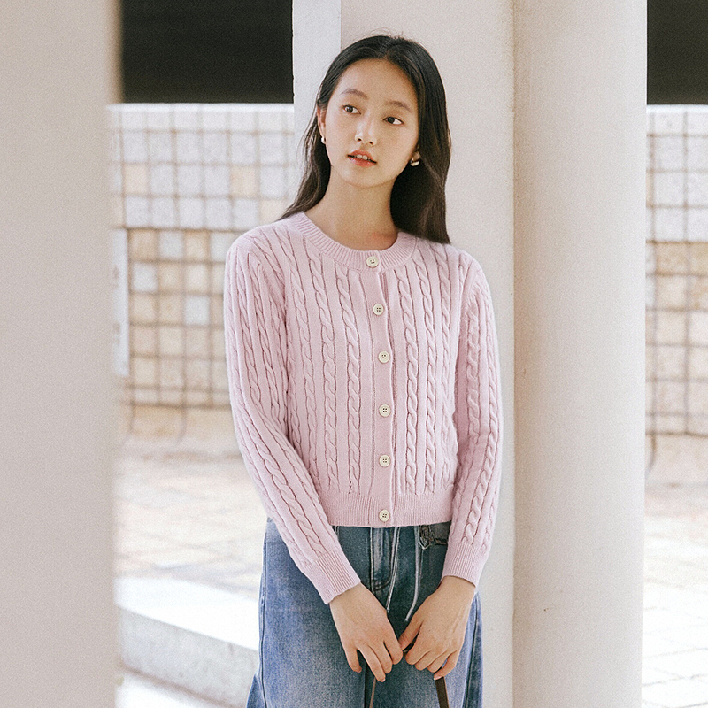 PIT麻花绵羊毛针织衫女2025秋季新款罩衫外套毛衣百搭上衣女装 - 图0