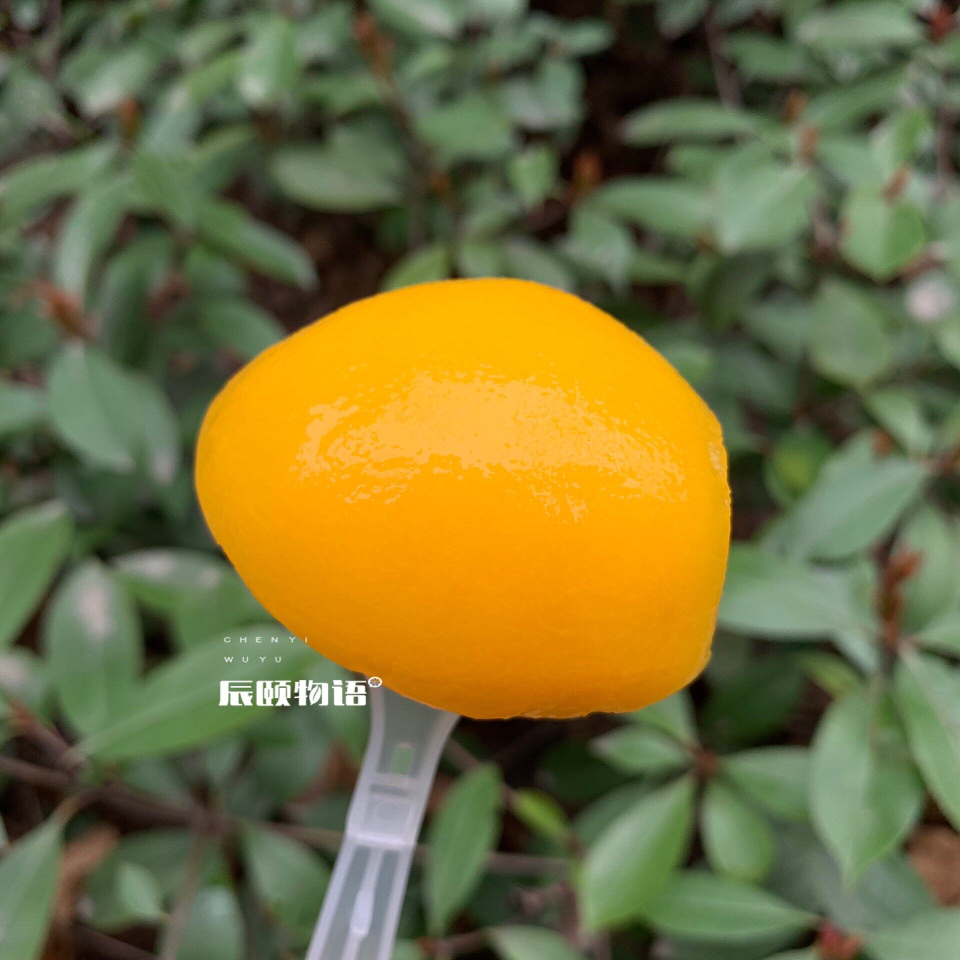 安徽砀山糖水新鲜桃子水果捞*罐头 味悠美食品水果罐头