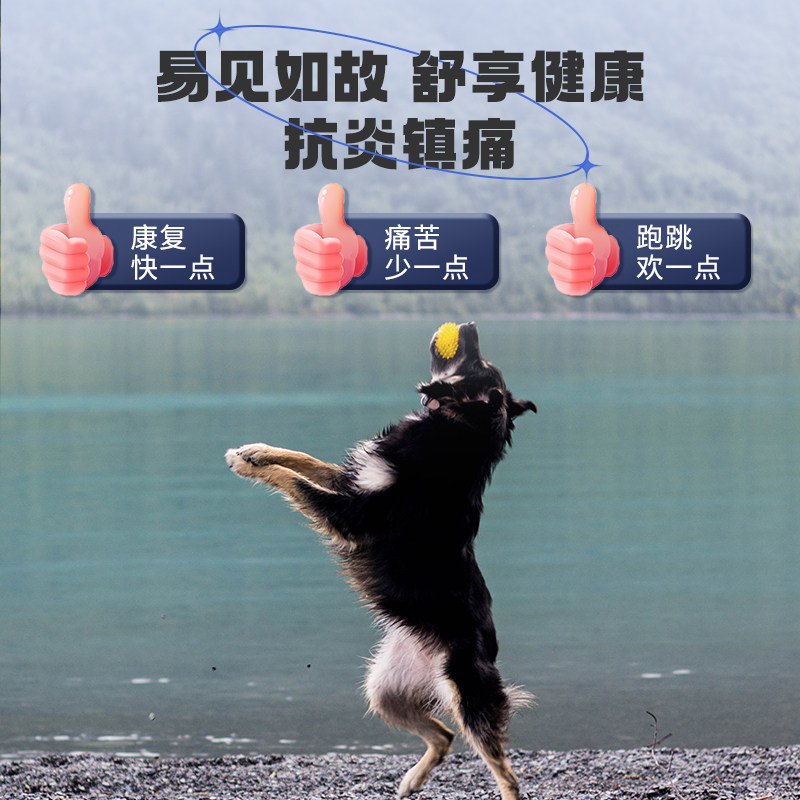 鑫安美洛昔宠物康狗狗关节消炎止疼片洛宠欣猫咪腿瘸骨折止痛药,淘宝优惠券,粉丝福利购,淘宝优惠卷