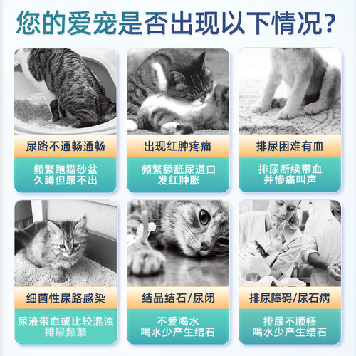鑫安猫利尿通尿血狗狗尿路感染药泌塞克尿道炎结石猫咪泌尿消石康 - 图2