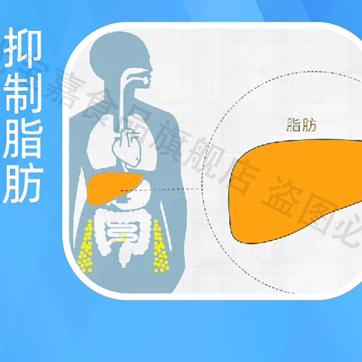 食品级脂肪酶 脂肪分解酶 果酒发酵抑制剂 面制品改良10万酶活力 - 图2