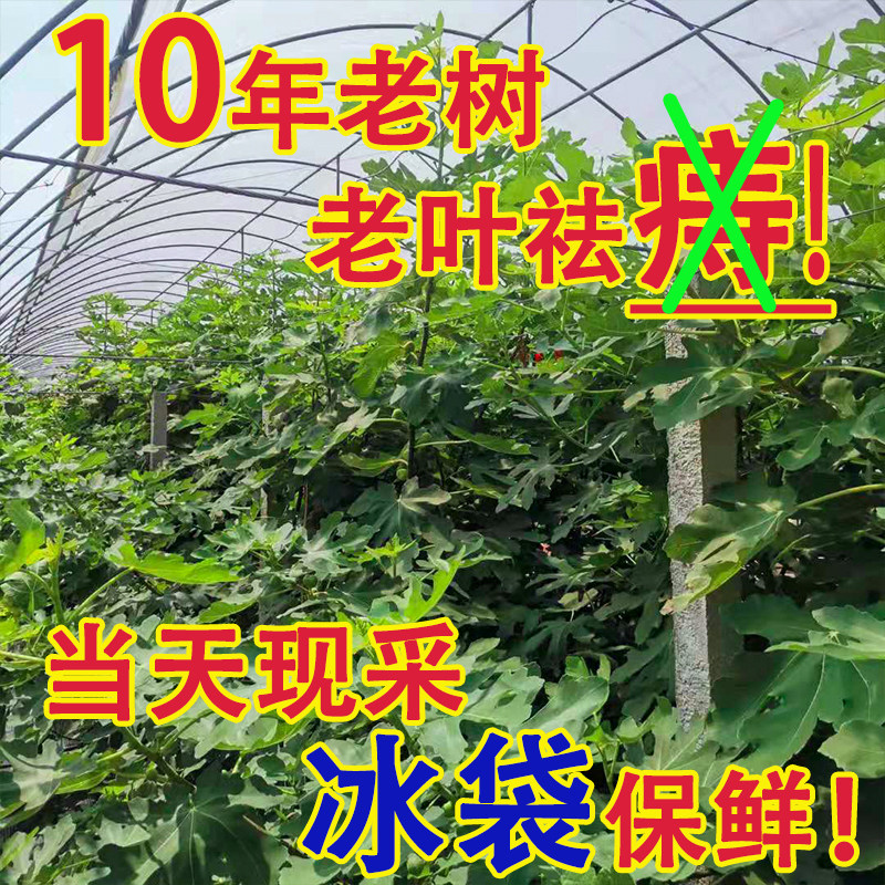 图 4
