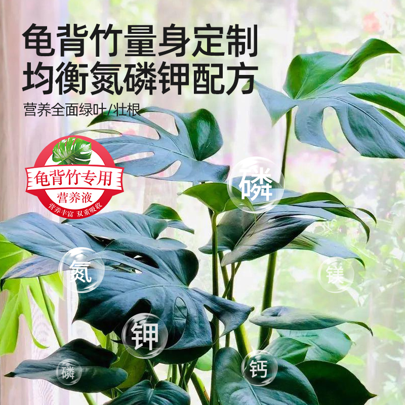 龟背竹专用营养液花肥料家用室内天堂鸟盆栽植物通用型浓缩液体肥 - 图2