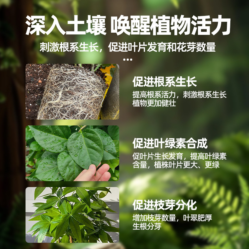 发财树专用营养液叶子发黄掉叶水培植物肥料家用花卉改善僵苗盆栽,淘宝优惠券,粉丝福利购,淘宝优惠卷