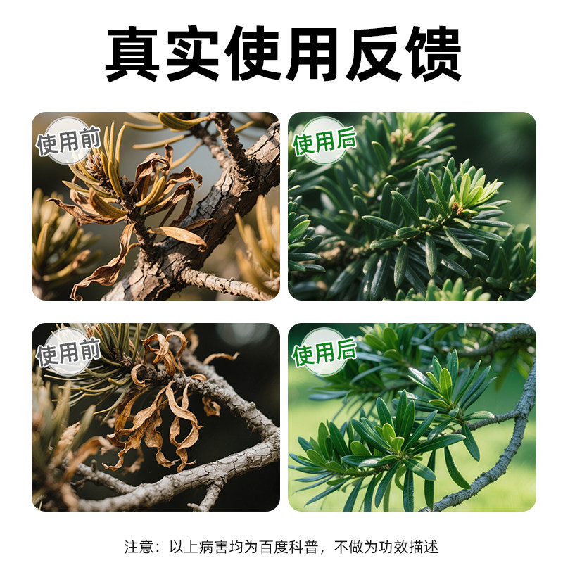 罗汉松专用营养液吊针液改善叶枯病叶子发黄松树黑松迎客松专用肥,淘宝优惠券,粉丝福利购,淘宝优惠卷