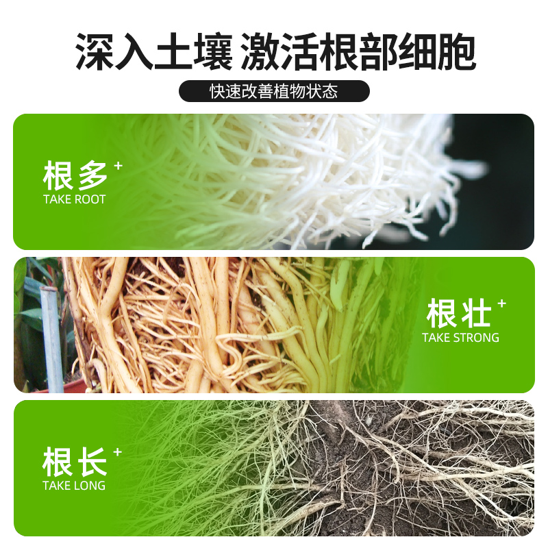 快速生根粉植物通用生根扦插移栽多肉家用盆栽树木壮根生根壮苗剂 - 图2
