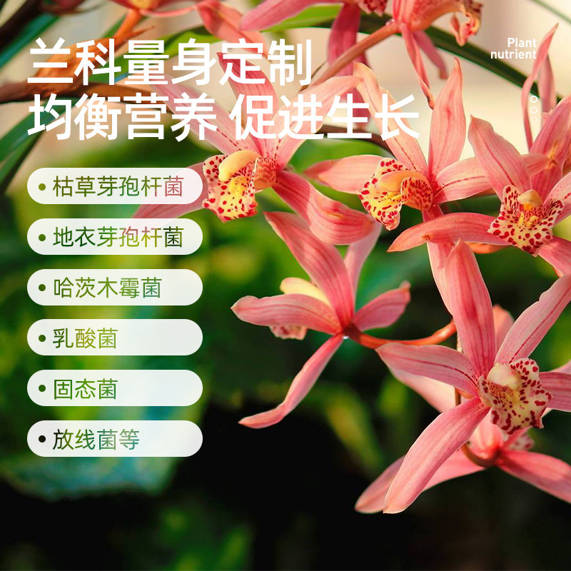 领沃兰灵王营养液蝴蝶兰君子兰兰花专用微生物多箭素爆芽素兰陵王,淘宝优惠券,粉丝福利购,淘宝优惠卷