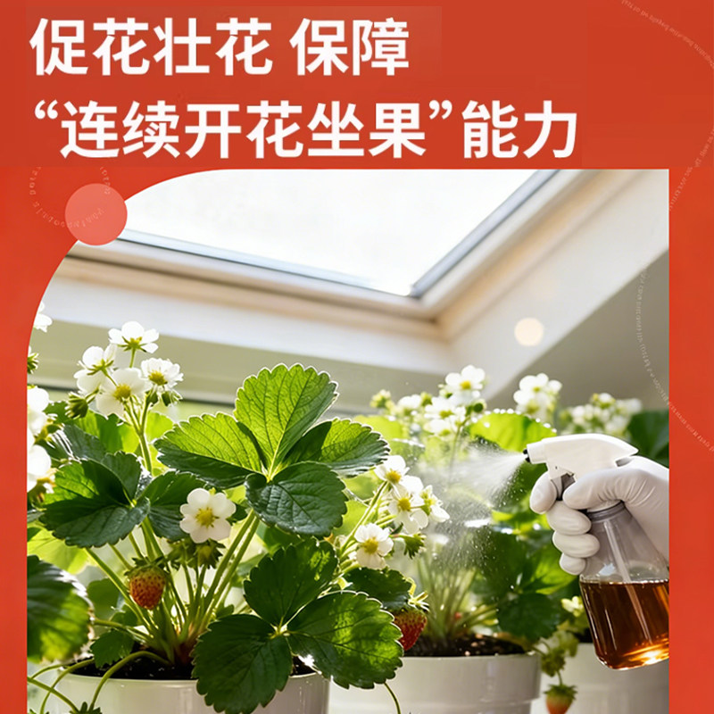 草莓专用肥鱼蛋白水溶肥氨基酸有机肥营养液膨果增甜叶面瓜果肥料,淘宝优惠券,粉丝福利购,淘宝优惠卷