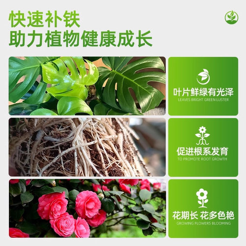 硫酸亚铁花肥料栀子花茉莉喜酸植物营养液杜鹃茶花养花专通用化肥 - 图0
