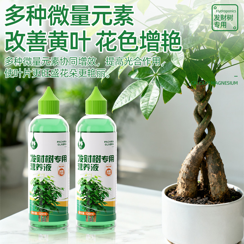发财树专用营养液防黄叶烂根掉叶水培植物肥料富贵竹室内盆栽通用,淘宝优惠券,粉丝福利购,淘宝优惠卷