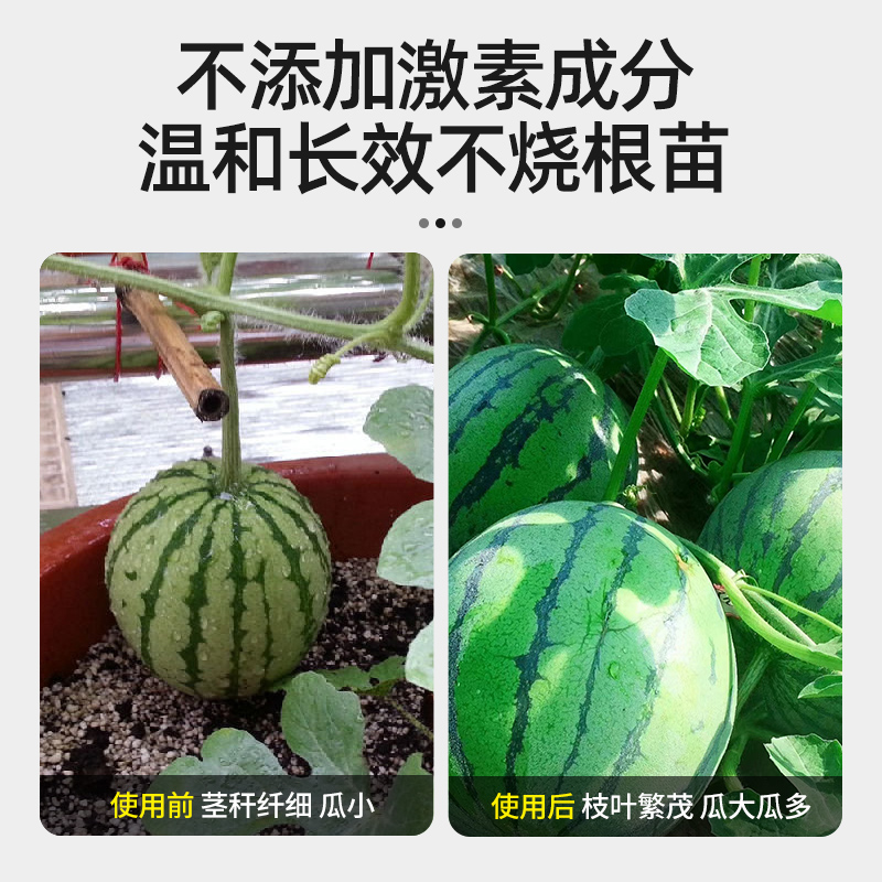 西瓜专用肥料营养液家用盆栽挂果膨果增甜水溶肥果树绿植物通用型 - 图3