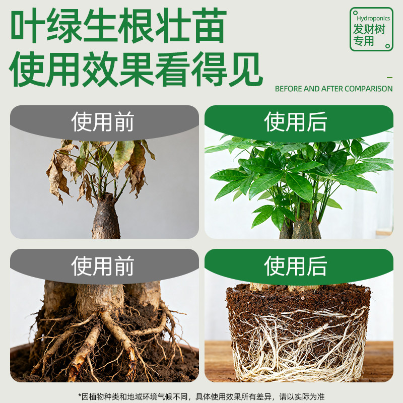 发财树专用营养液防黄叶烂根掉叶水培植物肥料富贵竹室内盆栽通用,淘宝优惠券,粉丝福利购,淘宝优惠卷